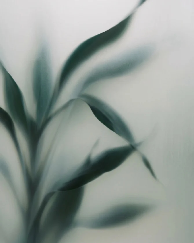 Glow Console secondary