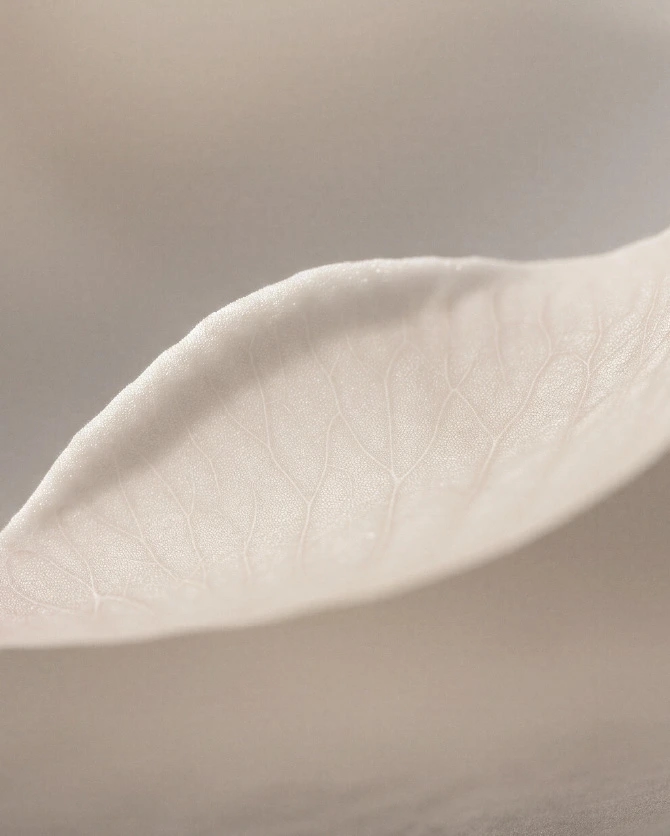 Madeleine Chair secondary