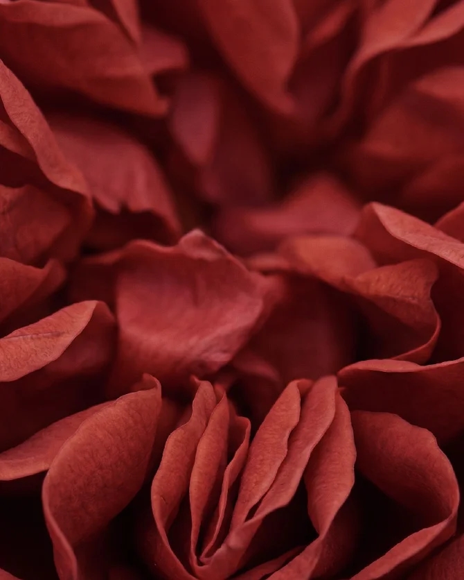 Spira Table secondary