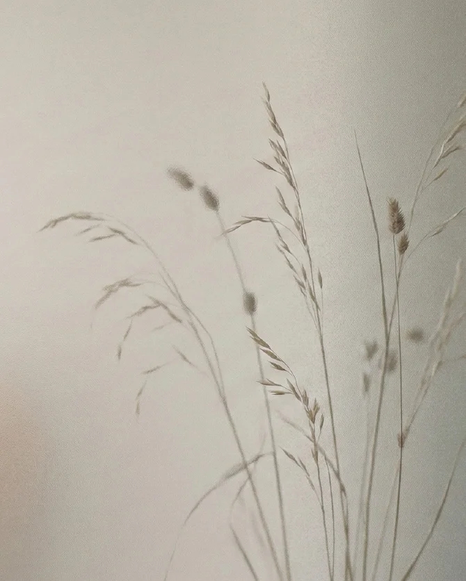 Stilos Table secondary